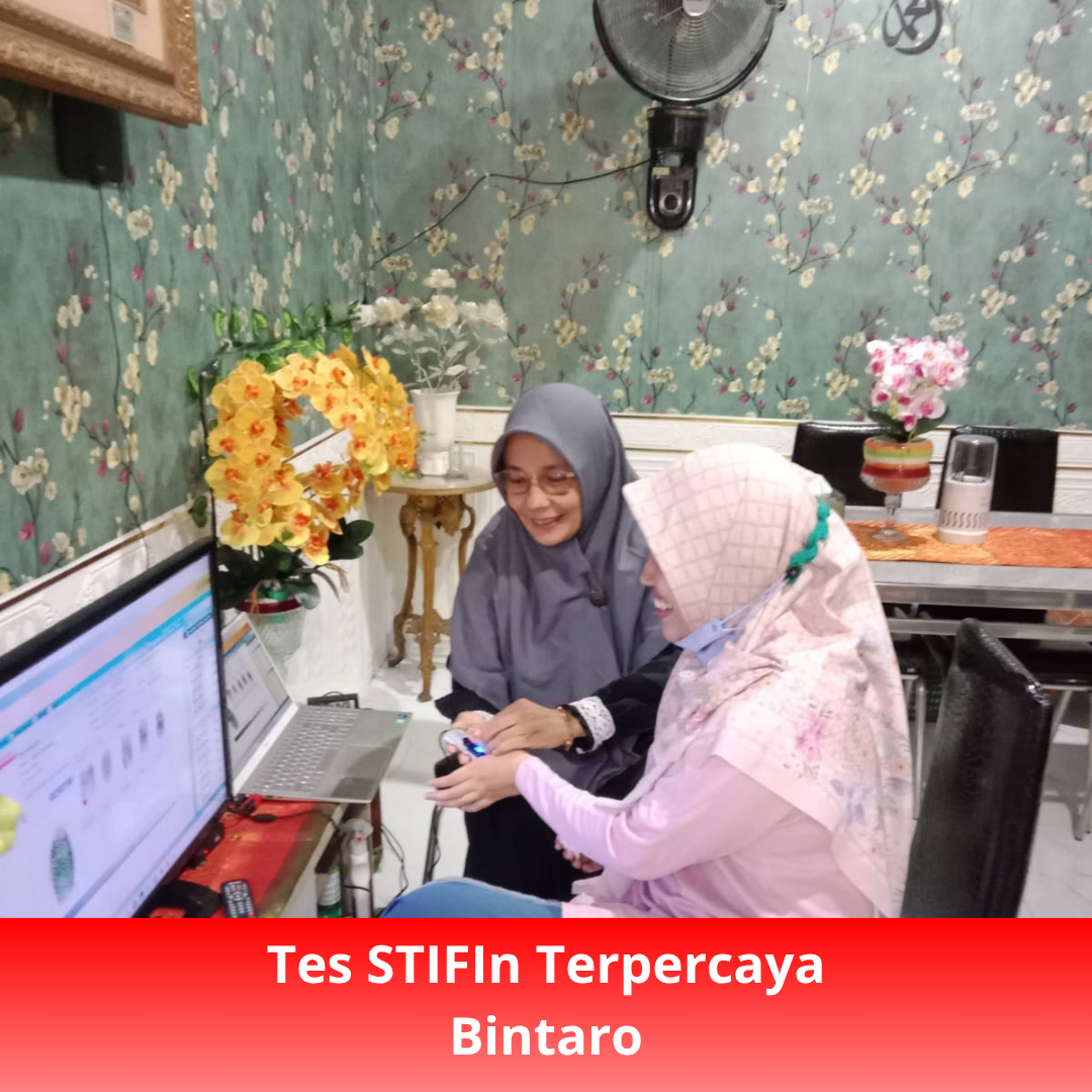 Tes STIFIn Terpercaya Bintaro